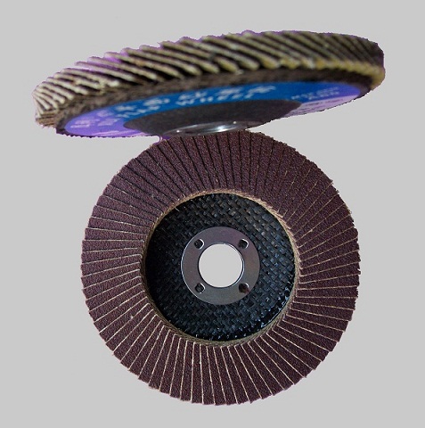 Vide Abrasive Nylon Disc 114